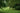 Tranquil green park with lush foliage and a winding path through the trees