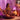 Meditation & Mindfulness