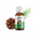 Fir, Balsam Essential Oil