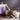 Lavender Essential Oil - Colour Energy Canada Retail